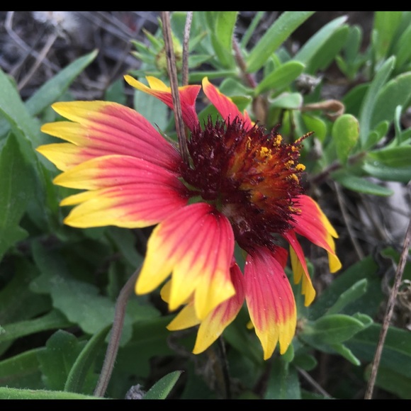 Welcome to my closet - Picture 6 of 7